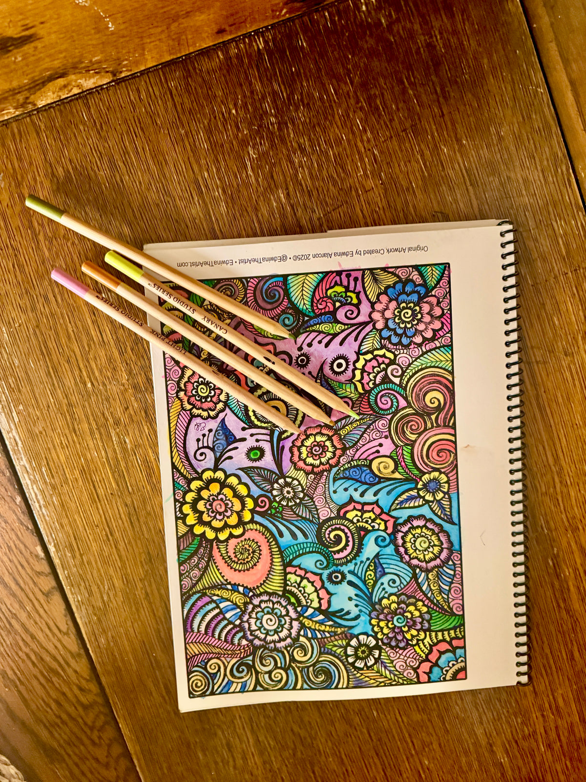 Dwoodles Coloring Book by Edwinatheartist